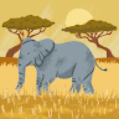 Afro trade